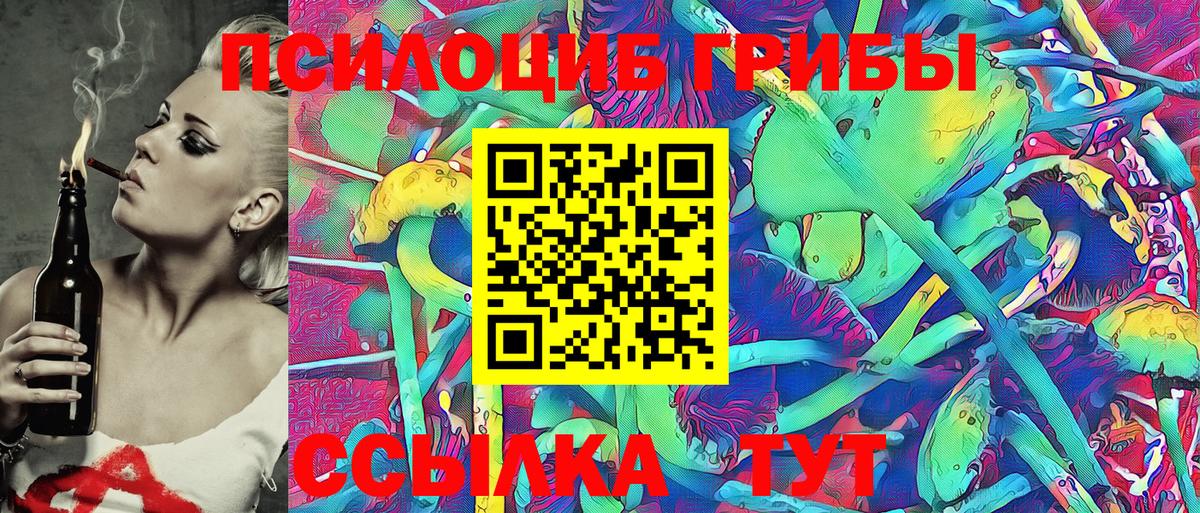 Галлюциногенные грибы Cubensis Кузнецк
