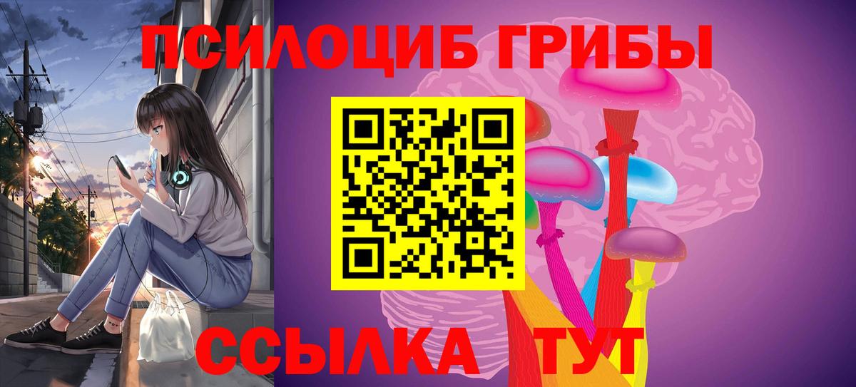 Кузнецк  Галлюциногенные грибы Magic Shrooms  Вход с VPN 